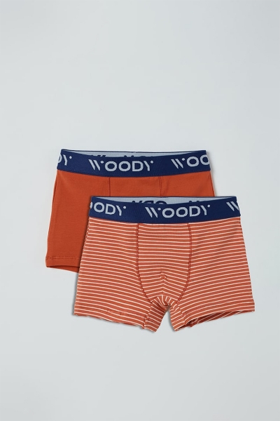 Resim 2-8 Yaş 2’li Erkek Çocuk Boxer- - 082-Gine Domuzu Temalı Çizgili Set