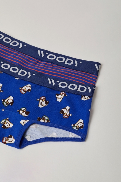 Resim 10-16 Yaş 2'li Kız Çocuk Külot- - 064-SET