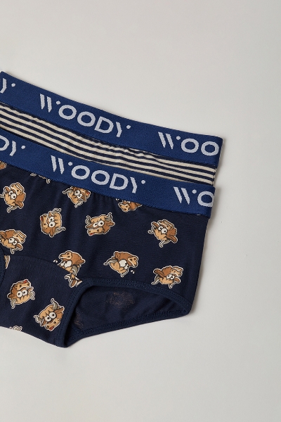 Resim 2-8 Yaş 2'li Kız Çocuk Külot- - 066-SET