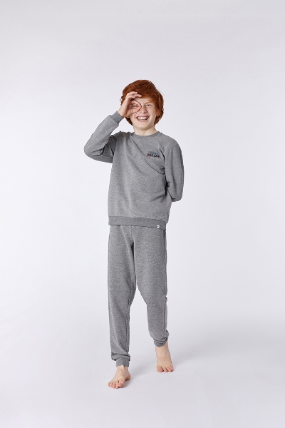 Resim Sweatshirt-Qld - 125-Rakun Temalı Gri Melanj