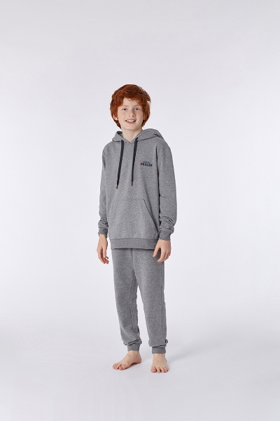 Resim Kapüşonlu Sweatshirt-Qle - 125-Rakun Temalı Gri Melanj