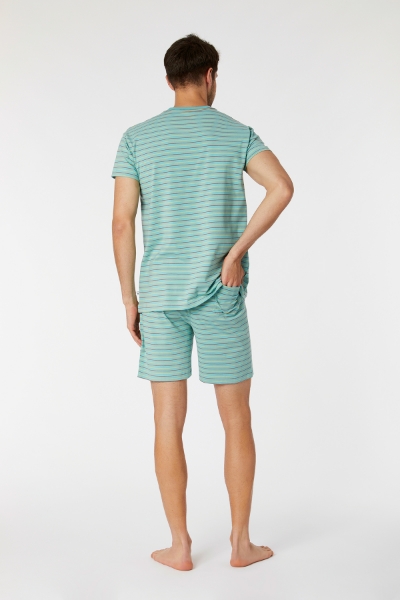 Resim Erkek Pijama-Pza - 978-Mandril Temalı Çizgili Yeşil
