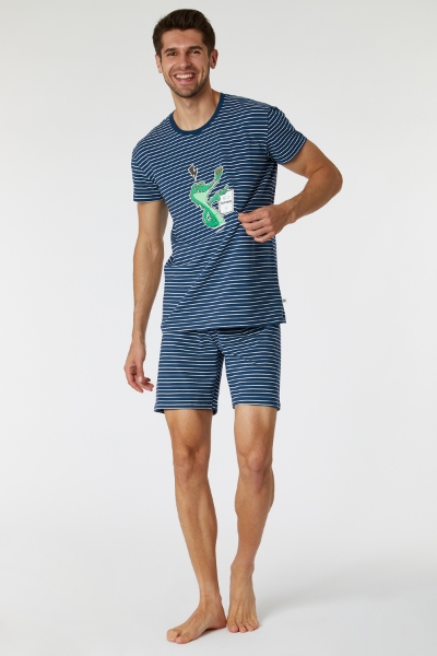 Resim Erkek Pijama-Pza - 981-Krokodil Temalı Lacivert Çizgili