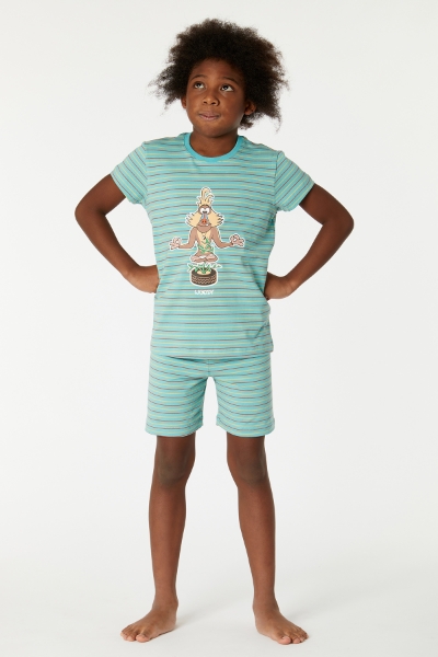 Resim 2-8 Yaş Erkek Çocuk Pijama-Pza - 978-Mandril Temalı Çizgili Yeşil