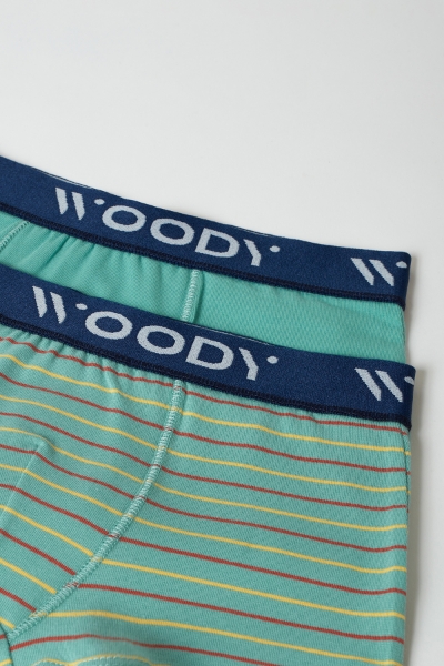 Resim Boxer- - 069-SET