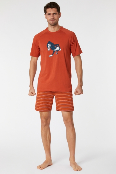 Resim Erkek Pijama-Qts - 460-Tarçın 