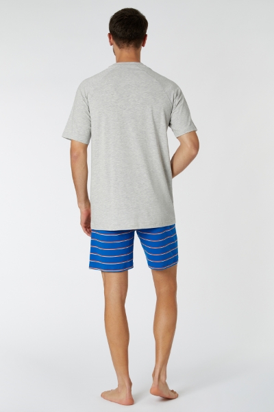 Resim Erkek Pijama-Qts - 142-Açık Melanj