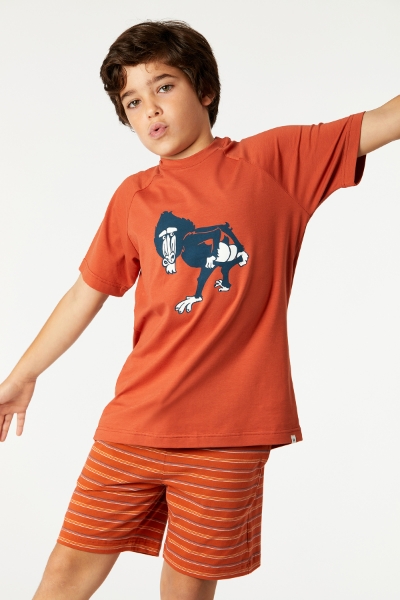 2-8 Yaş Erkek Çocuk Pijama-Qts - 460-Tarçın 