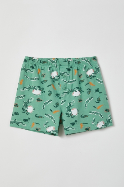 Resim 2-8 Yaş Erkek Çocuk Boxer-Qlb - 937-Krokodil Baskılı Yeşil