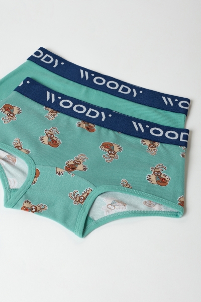 Resim 2-8 Yaş 2'li Kız Çocuk Külot- - 076-SET