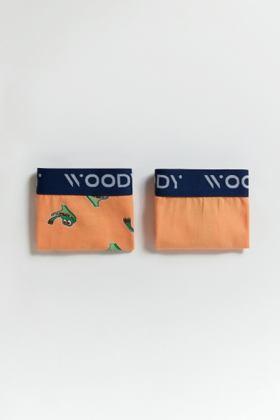 Resim 2-8 Yaş 2'li Kız Çocuk Külot- - 067-SET