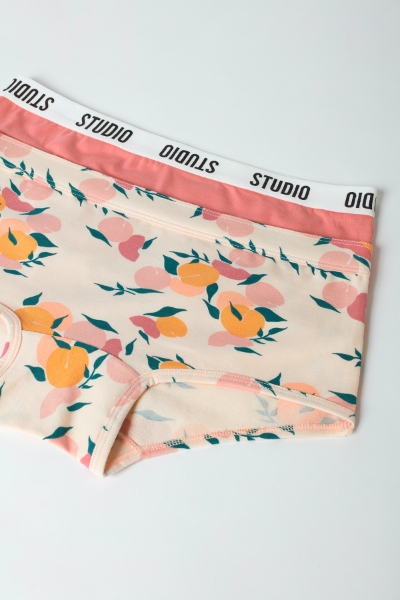 Resim 2-8 Yaş Kız Çocuk Külot- - 072-SET