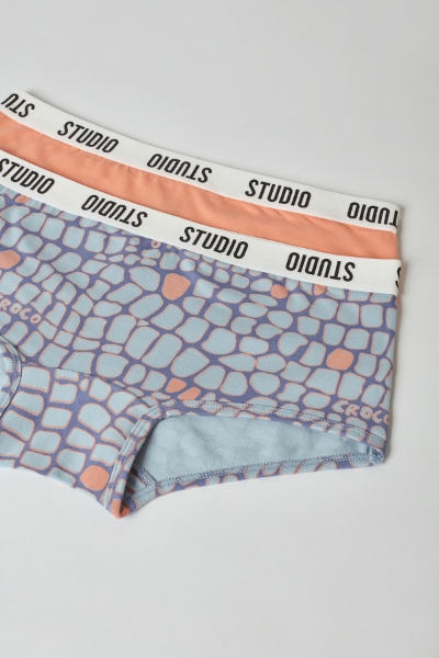 Resim 2-8 Yaş Kız Çocuk Külot- - 071-SET