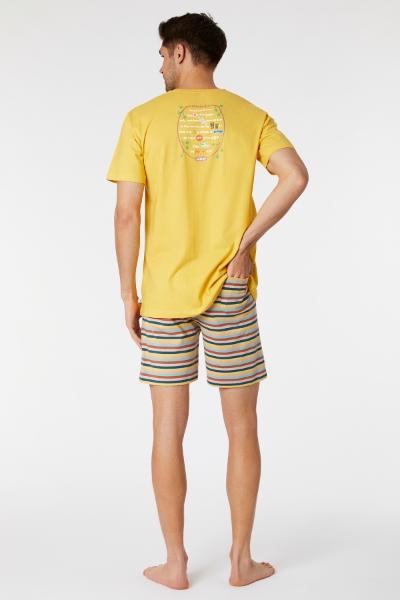 Resim Erkek Pijama-Pss - 614-Limon Sarı