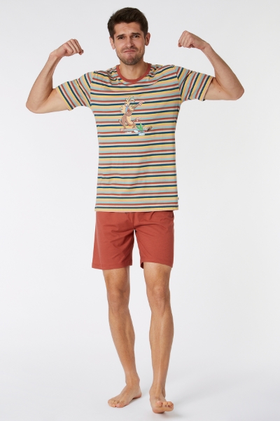 Resim Erkek Pijama-Pss - 929-Mandril Temalı Çizgili