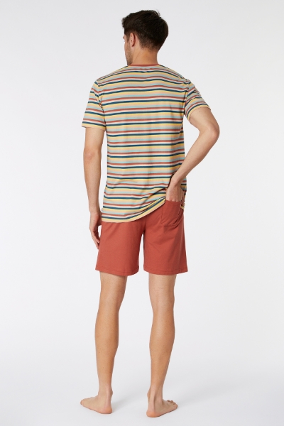 Resim Erkek Pijama-Pss - 929-Mandril Temalı Çizgili