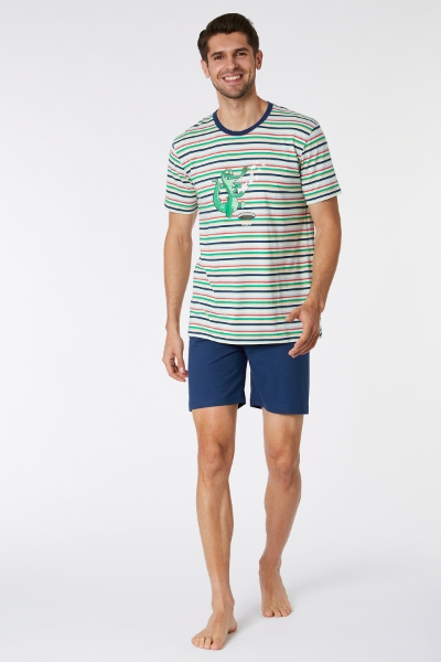 Resim Erkek Pijama-Pss - 910-Krokodil Temalı Çizgili Yeşil 