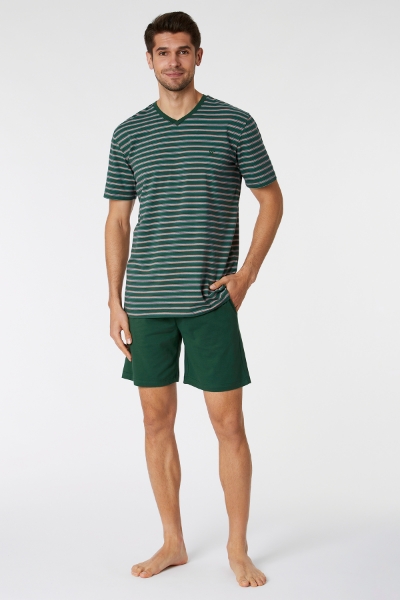 Resim Erkek Pijama-Mvs - 977-Krokodil Temalı Çok Renkli Çizgili