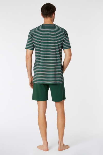 Resim Erkek Pijama-Mvs - 977-Krokodil Temalı Çok Renkli Çizgili