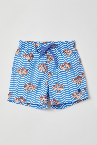 Resim 10-16 Yaş Erkek Çocuk Deniz Şortu-Zww - 924-Semender Baskılı Mavi 