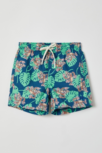 Resim 2-8 Yaş Erkek Çocuk Deniz Şortu-Zww - 912-Mandril Temalı Mavi