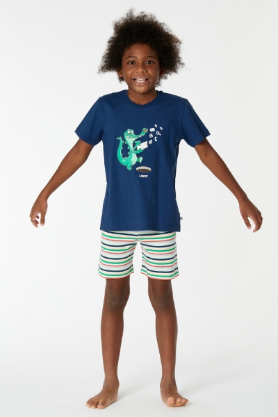 Resim 2-8 Yaş Erkek Çocuk Pijama-Pss - 874-Insignia Mavi