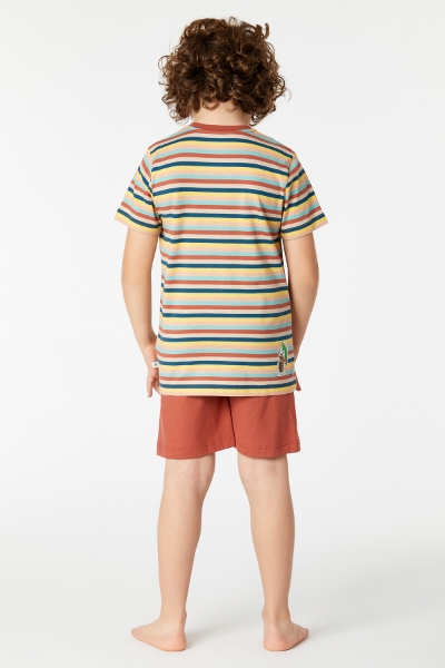 Resim 2-8 Yaş Erkek Çocuk Pijama-Pss - 929-Mandril Temalı Çizgili