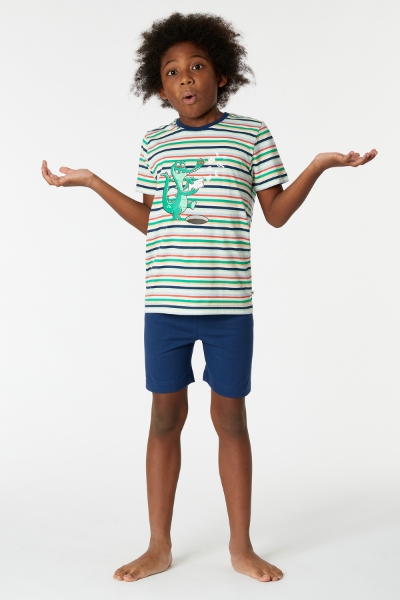 Resim 2-8 Yaş Erkek Çocuk Pijama-Pss - 910-Krokodil Temalı Çizgili Yeşil 