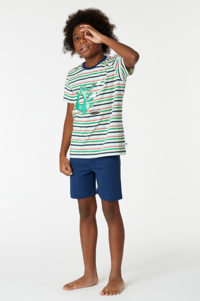 Resim 10-16 Yaş Erkek Çocuk Pijama-Pss - 910-Krokodil Temalı Çizgili Yeşil 