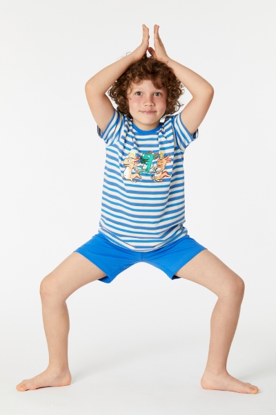 Resim 10-16 Yaş Erkek Çocuk Pijama-Pss - 987-Semender Temalı Çizgili