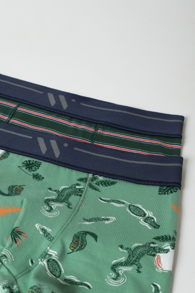 Resim 10-16 Yaş 2’li Erkek Çocuk Boxer- - 055-SET