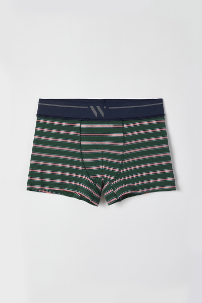 Resim 2-8 Yaş 2'li Erkek Çocuk Boxer- - 055-SET