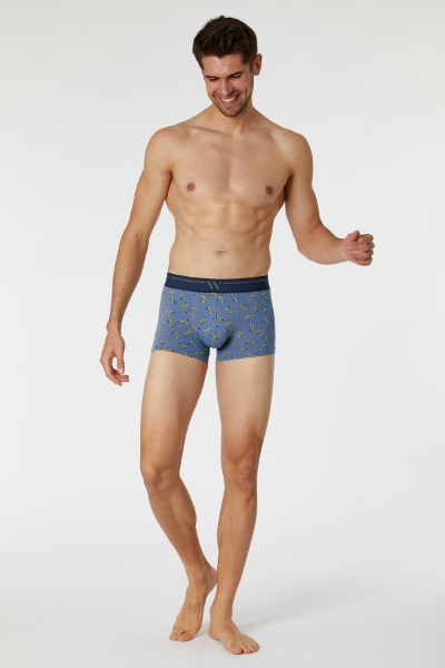 Resim Erkek Boxer- - 056-SET