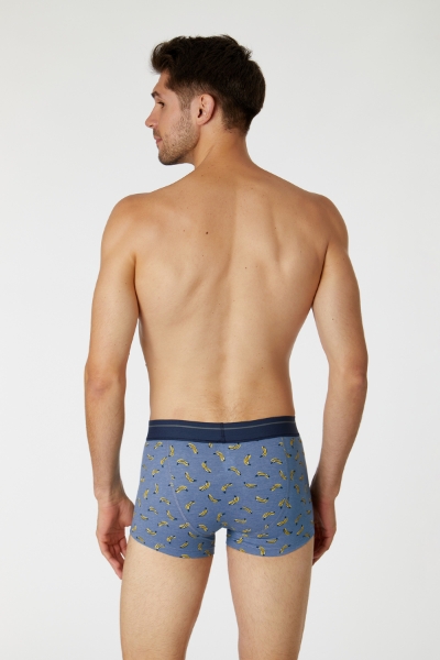 Resim Erkek Boxer- - 056-SET