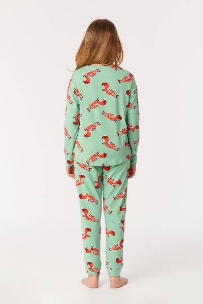 Resim 10-16 Yaş Kız Çocuk Pijama-Pzg - 912-Sincap Baskılı Yeşil