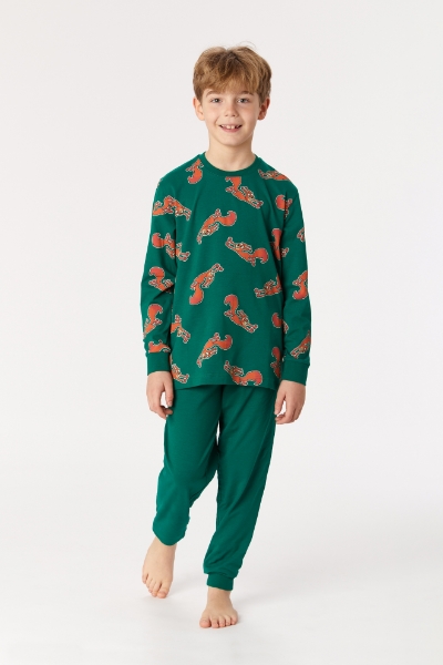 Resim 2-8 Yaş Erkek Çocuk Pijama-Pzl - 904-Sincap Baskılı Nefti Yeşili