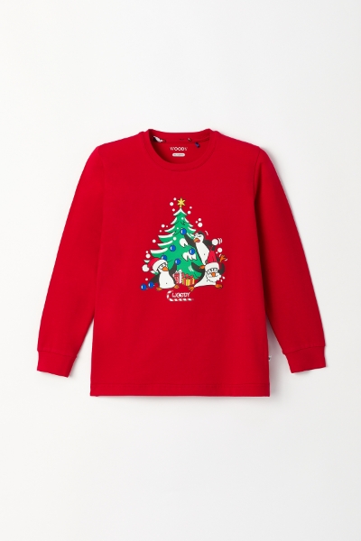 Resim 10-16 Yaş Erkek Çocuk Pijama-Cpa - 407-Yeni Yıl Kırmızısı