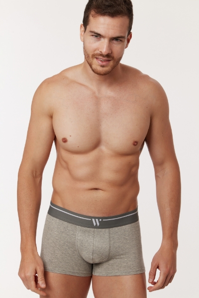 Resim 2’li Erkek Boxer-Clm - 121-Gri  Melanj