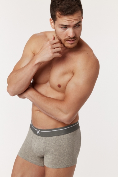 Resim 2’li Erkek Boxer-Clm - 121-Gri  Melanj