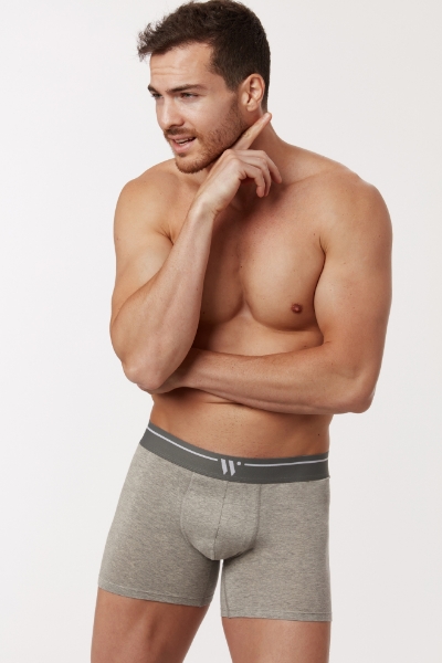 Resim 2’li Erkek Boxer-Clc - 121-Gri  Melanj
