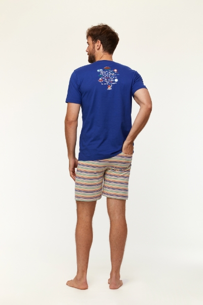 Resim Erkek Pijama-Pss - 856-Soğuk Mavi