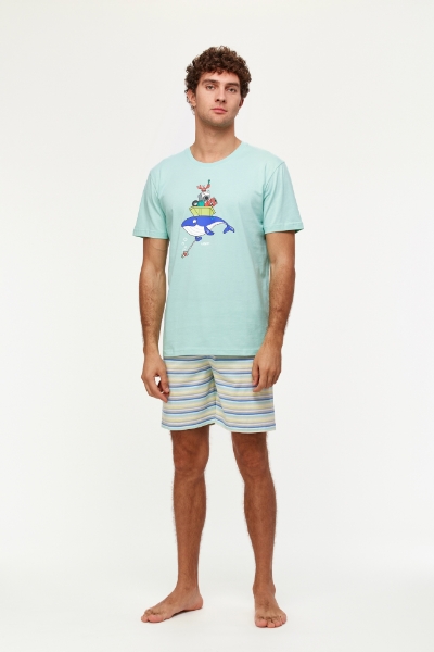 Resim Erkek Pijama-Pss - 702-Su Yeşili