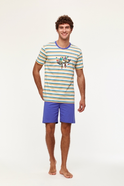 Resim Erkek Pijama-Pss - 908-Tukan Temalı Çizgili Mavi