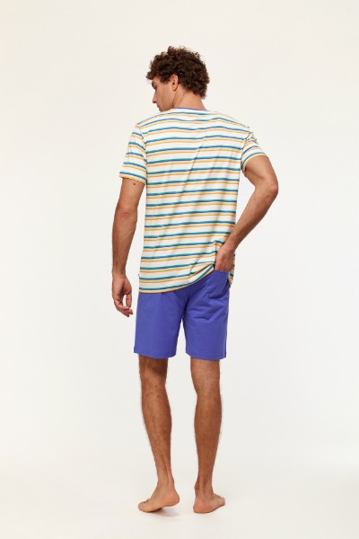 Resim Erkek Pijama-Pss - 908-Tukan Temalı Çizgili Mavi