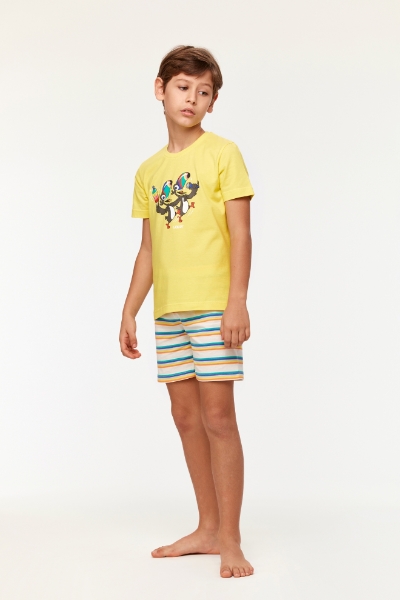 Resim 2-8 Yaş Erkek Çocuk Pijama-Pss - 651-Sarı