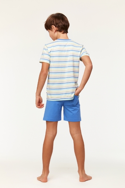 Resim 2-8 Yaş Erkek Çocuk Pijama-Pss - 904-Balina Temalı Çizgili Mavi