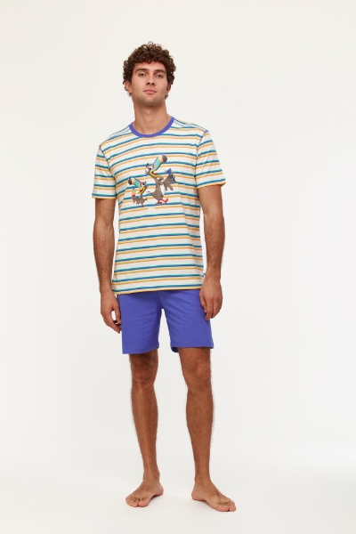 Resim Erkek Pijama-Pus - 908-Tukan Temalı Çizgili Mavi