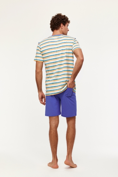 Resim Erkek Pijama-Pus - 908-Tukan Temalı Çizgili Mavi