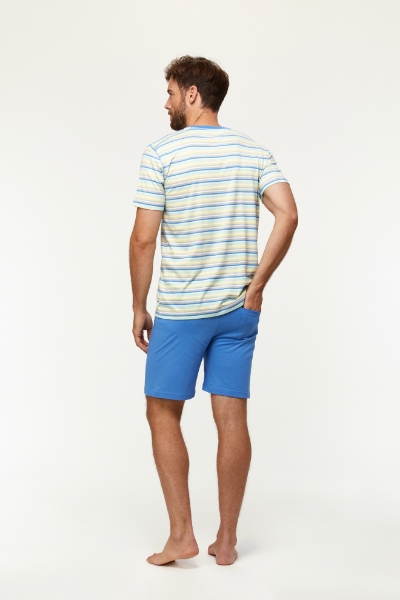 Resim Erkek Pijama-Pus - 904-Balina Temalı Çizgili Mavi