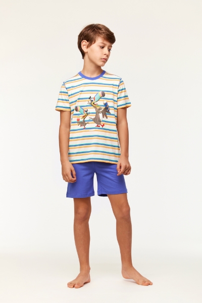 Resim 2-8 Yaş Erkek Çocuk Pijama-Pus - 908-Tukan Temalı Çizgili Mavi